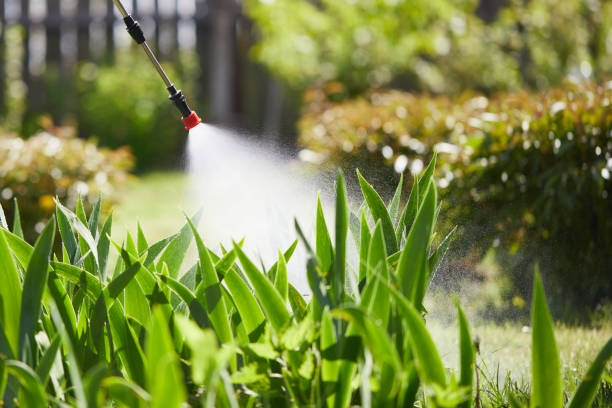 24/7 Emergency Termite Control experts in Grandwood Park, IL
