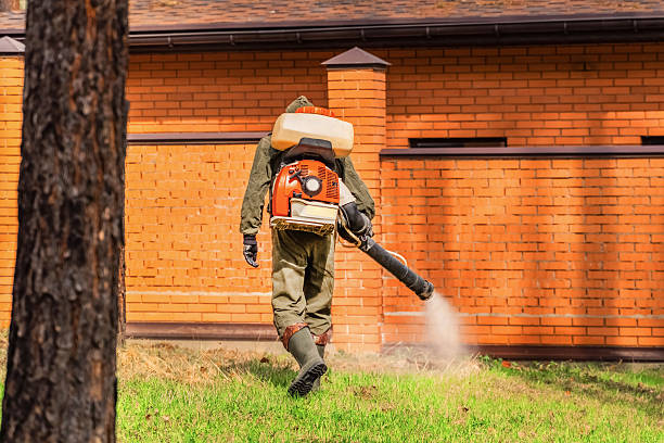 Trusted Ant Control service in Grandwood Park, IL - Nex Pest Control